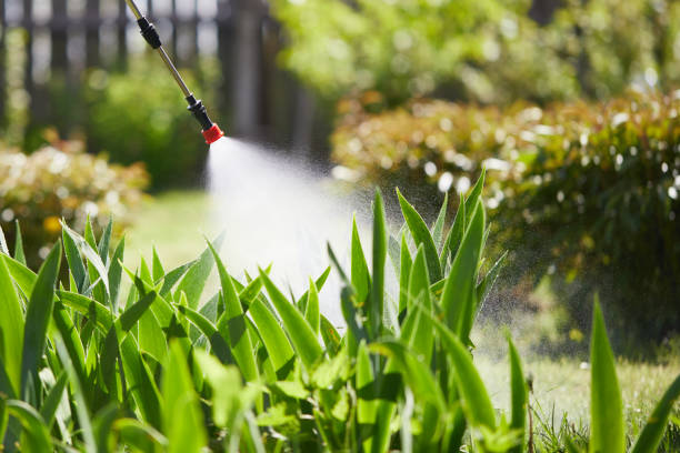 24/7 Emergency Mosquito Control experts in South Yarmouth, MA