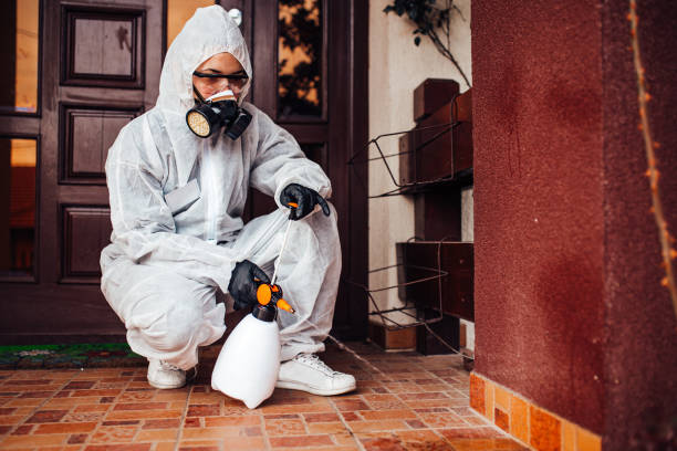 Reliable Mosquito Control contractor in South Yarmouth, MA by Show Me Pest Control