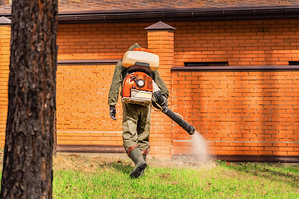Top rated local Mosquito Control specialists in South Yarmouth, MA